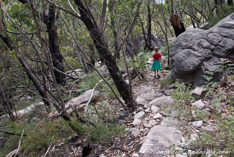 Australia, Victoria, Grampians, The Grampians: Mt Rosea Hike, , 