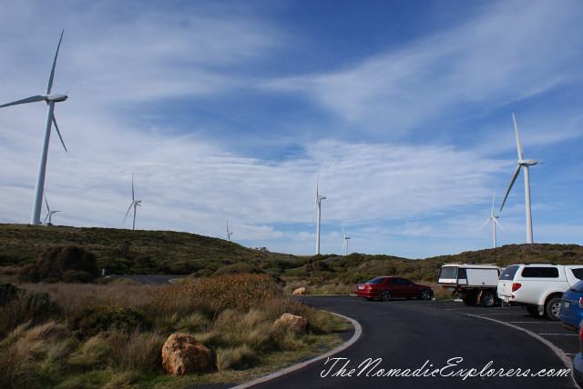 Australia, Victoria, Great Ocean Road, Portland, Portland: Cape Bridgewater, Blowholes, Petrified Forest, Freshwater Springs, Australia, Victoria, Great Ocean Road, Portland, Портланд - скалы Blowholes, известняковые образования Petrified Forest и ручьи пресной воды Freshwater Springs (Portland - Blowholes, Petrified Forest, Freshwater Springs)