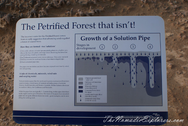 Портланд - скалы Blowholes, известняковые образования Petrified Forest и ручьи пресной воды Freshwater Springs