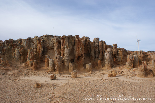 Портланд - скалы Blowholes, известняковые образования Petrified Forest и ручьи пресной воды Freshwater Springs