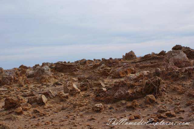 Портланд - скалы Blowholes, известняковые образования Petrified Forest и ручьи пресной воды Freshwater Springs