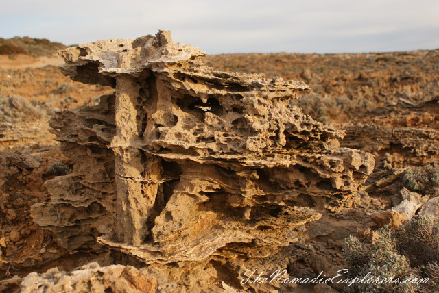 Портланд - скалы Blowholes, известняковые образования Petrified Forest и ручьи пресной воды Freshwater Springs