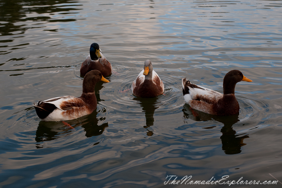 Australia, Victoria, Great Ocean Road, Warrnambool, Flagstaff Hill Maritime Village, , 