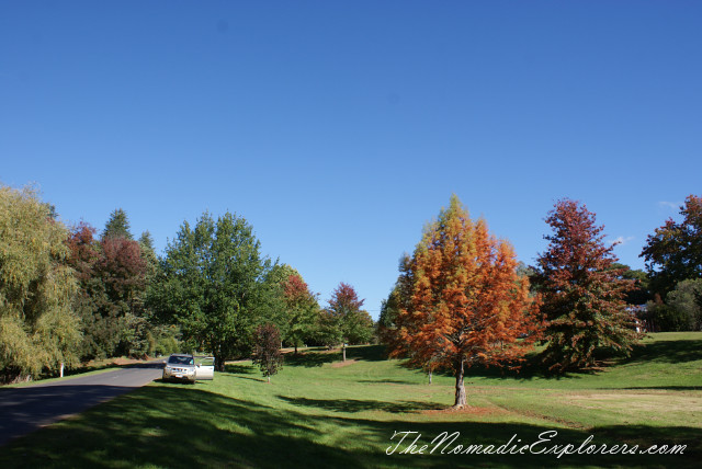 Australia, Victoria, Hight Country, Looking for Autumn. The Bright Autumn Festival., , 