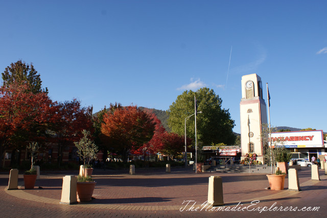 Australia, Victoria, Hight Country, Looking for Autumn. The Bright Autumn Festival., , 