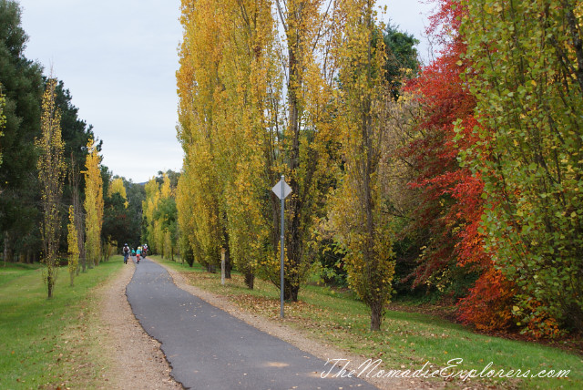 Australia, Victoria, Hight Country, Looking for Autumn. The Bright Autumn Festival., , 