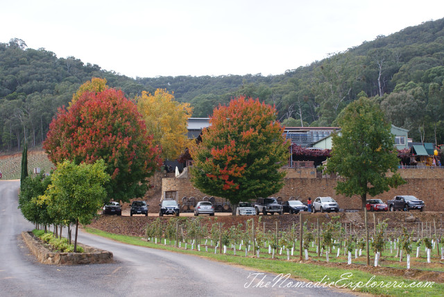 Australia, Victoria, Hight Country, Looking for Autumn. The Bright Autumn Festival., , 