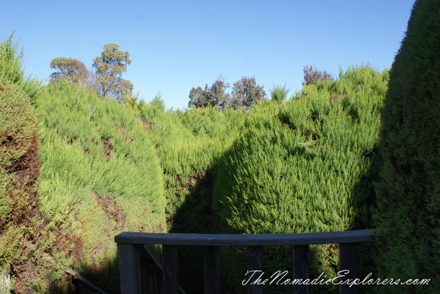 Australia, Victoria, Hight Country, Wandiligong. Maze, Chinese Swing Bridge, Nut Festival, , 