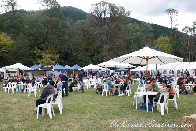 Australia, Victoria, Hight Country, Wandiligong. Maze, Chinese Swing Bridge, Nut Festival, , 