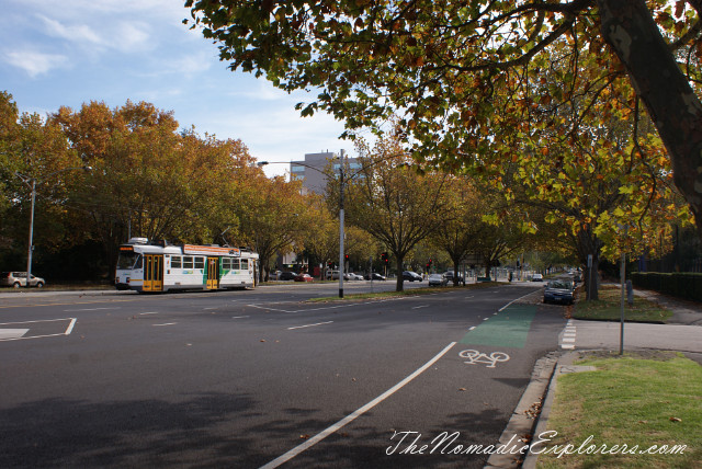 autumn in melbourne