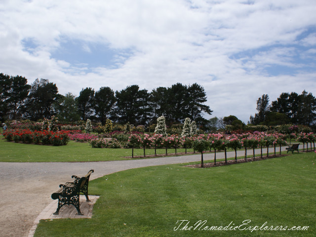 Australia, Victoria, Melbourne, Сад роз в Мельбурне - Victoria State Rose Garden, , 