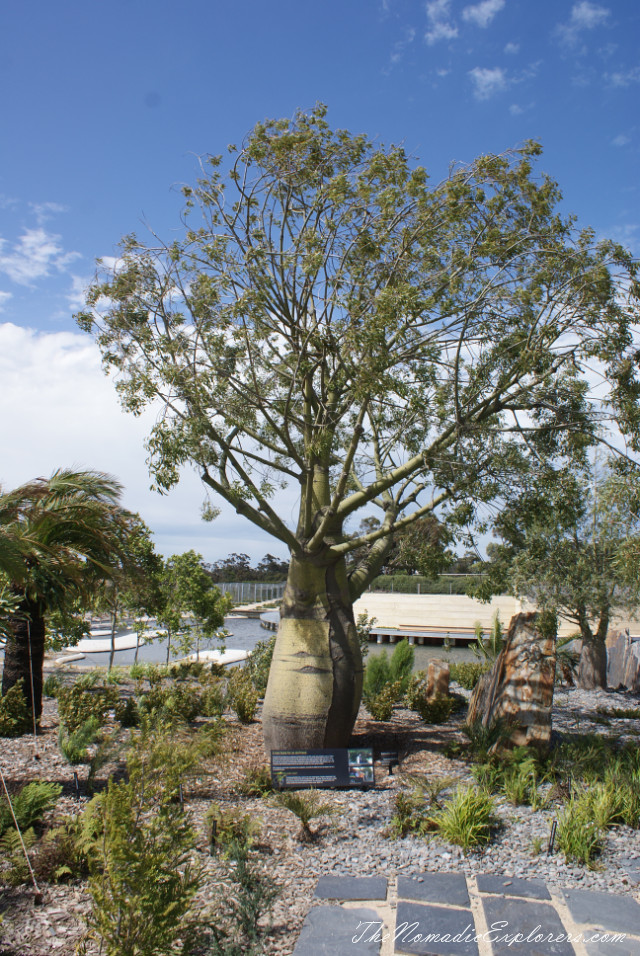 Australia, Victoria, Melbourne, Ботанический сад в Cranbourne (Royal Botanic Gardens Cranbourne), , 