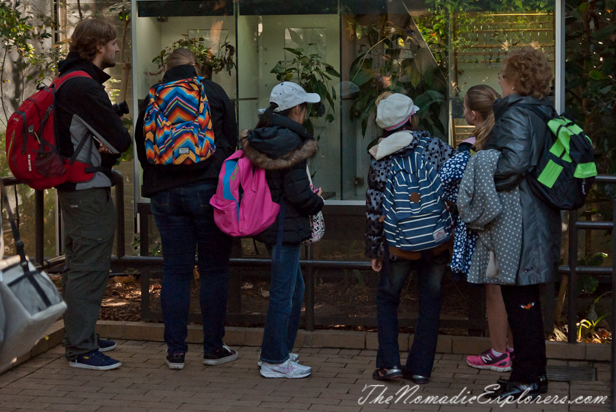 Australia, Victoria, Melbourne, A day in Melbourne Zoo, , 