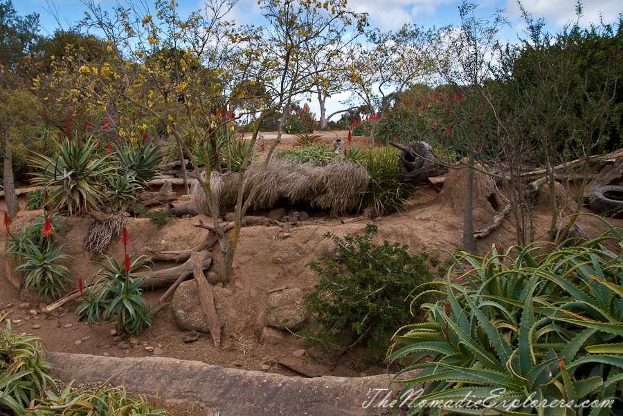 Australia, Victoria, Melbourne, Werribee Open Range Zoo: Lets Go Safari, , 