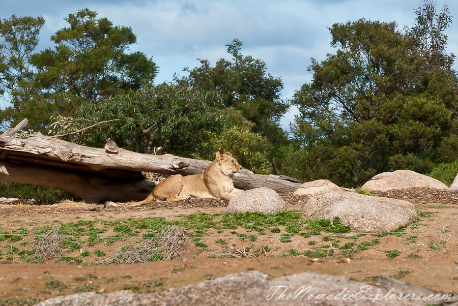 Australia, Victoria, Melbourne, Werribee Open Range Zoo: Lets Go Safari, , 