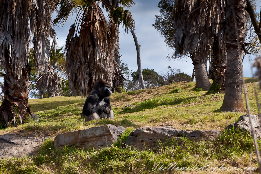 Australia, Victoria, Melbourne, Werribee Open Range Zoo: Lets Go Safari, , 