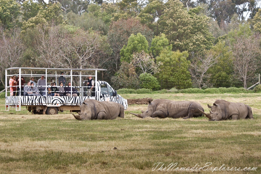 Australia, Victoria, Melbourne, Werribee Open Range Zoo: Lets Go Safari, , 