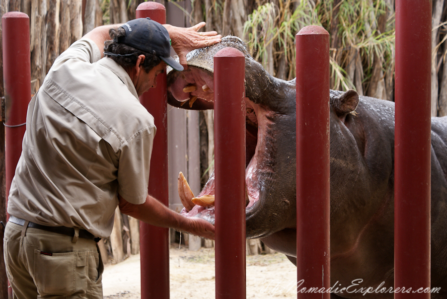 Australia, Victoria, Melbourne, Werribee Open Range Zoo: Lets Go Safari, , 