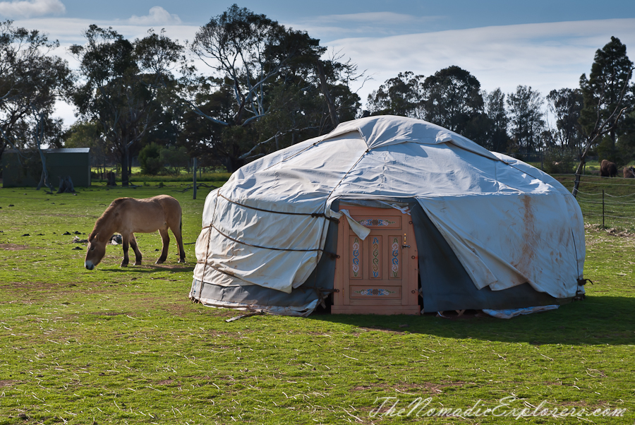 Australia, Victoria, Melbourne, Werribee Open Range Zoo: Lets Go Safari, , 