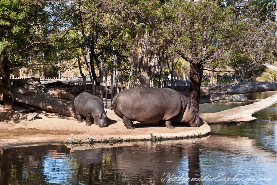 Australia, Victoria, Melbourne, Werribee Open Range Zoo: Lets Go Safari, , 