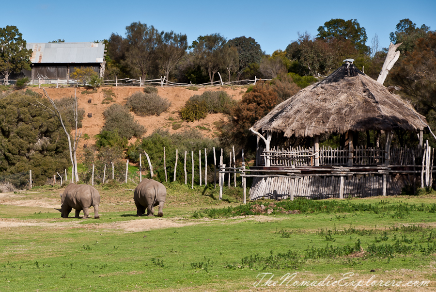 Australia, Victoria, Melbourne, Werribee Open Range Zoo: Lets Go Safari, , 