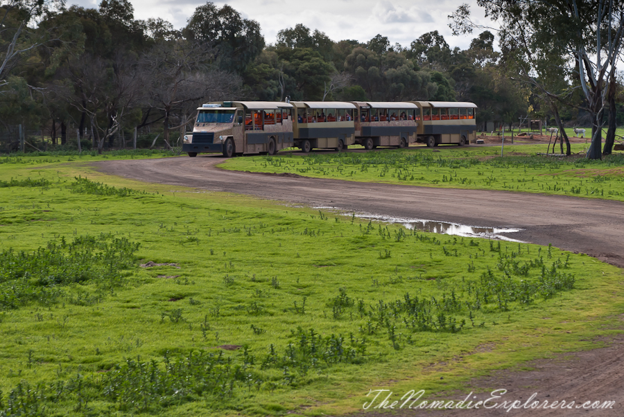 Australia, Victoria, Melbourne, Werribee Open Range Zoo: Lets Go Safari, , 