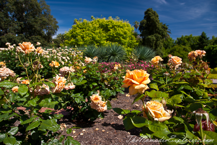 Australia, Victoria, Melbourne, St Kilda Botanical Gardens, , 