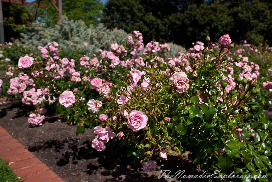 Australia, Victoria, Melbourne, St Kilda Botanical Gardens, , 