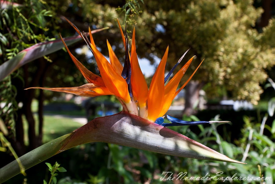 Australia, Victoria, Melbourne, St Kilda Botanical Gardens, , 