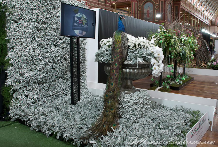 Australia, Victoria, Melbourne, Melbourne International Flower and Garden Show 2017, , 