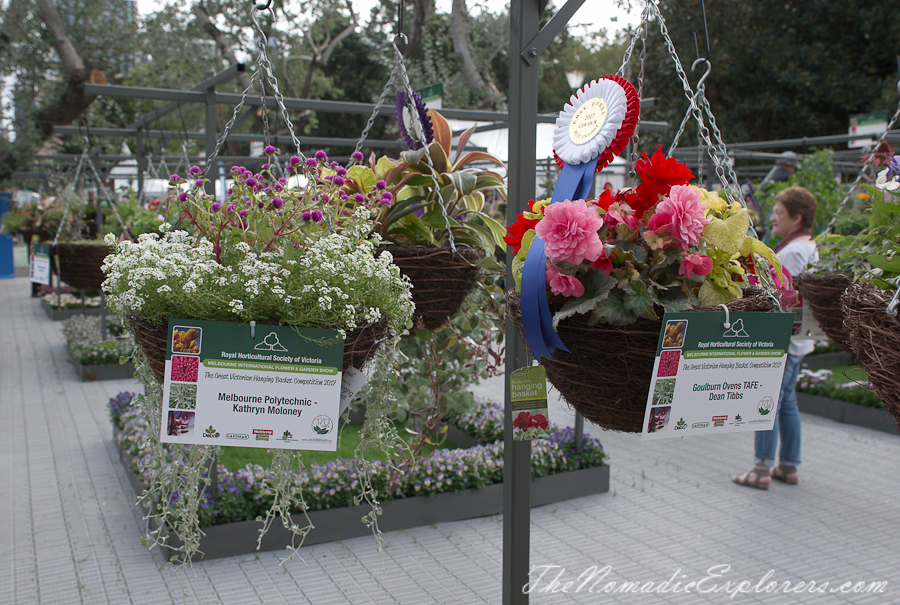 Australia, Victoria, Melbourne, Melbourne International Flower and Garden Show 2017, , 