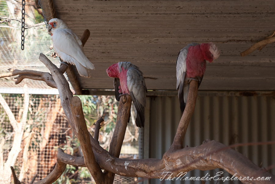 Australia, Victoria, Phillip Island, A day trip to the Phillip Island Wildlife Park, , 