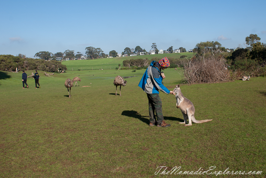 Australia, Victoria, Phillip Island, A day trip to the Phillip Island Wildlife Park, , 