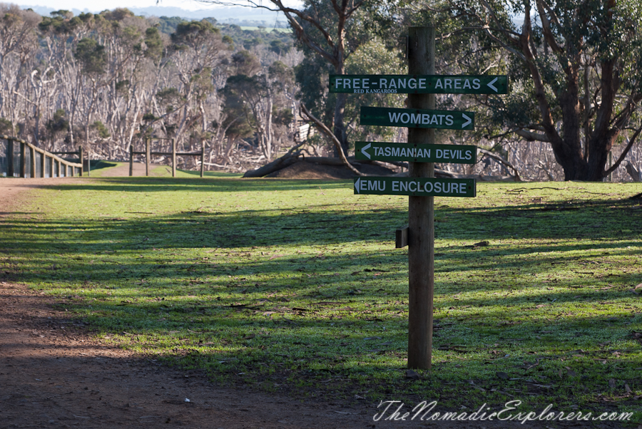 Australia, Victoria, Phillip Island, A day trip to the Phillip Island Wildlife Park, , 