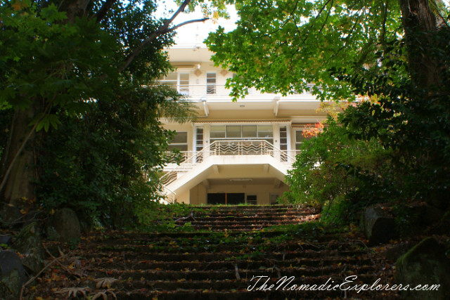 Australia, Victoria, Yarra Valley &amp; Dandenong Ranges, Looking for autumn. Alfred Nicholas Gardens (Burnham Beeches Estate), , 