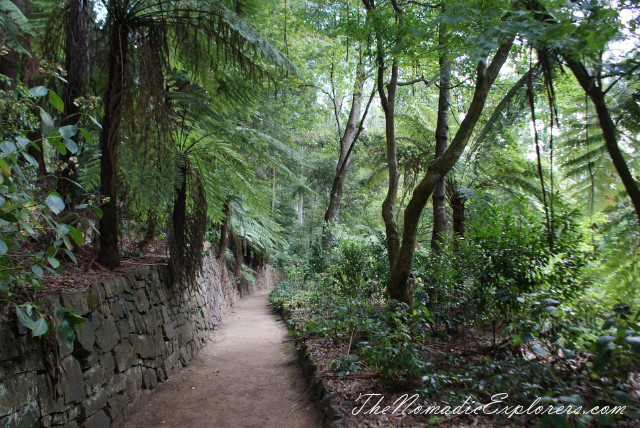 Australia, Victoria, Yarra Valley &amp; Dandenong Ranges, Looking for autumn. Alfred Nicholas Gardens (Burnham Beeches Estate), , 