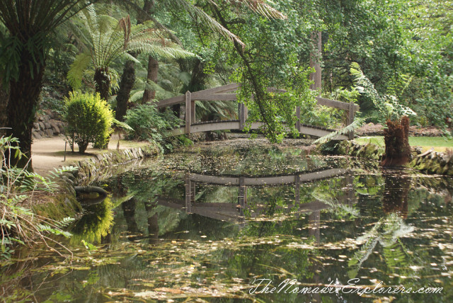 Australia, Victoria, Yarra Valley &amp; Dandenong Ranges, Looking for autumn. Alfred Nicholas Gardens (Burnham Beeches Estate), , 