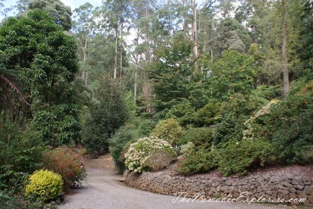 Australia, Victoria, Yarra Valley &amp; Dandenong Ranges, Looking for autumn. Alfred Nicholas Gardens (Burnham Beeches Estate), , 