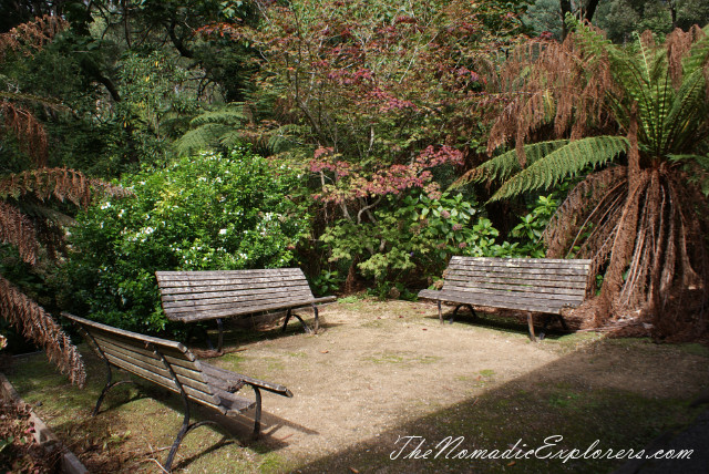 Australia, Victoria, Yarra Valley &amp; Dandenong Ranges, Looking for autumn. Alfred Nicholas Gardens (Burnham Beeches Estate), , 