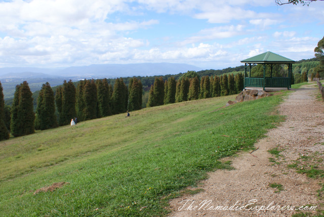 Australia, Victoria, Yarra Valley &amp; Dandenong Ranges, Looking for autumn. R J Hamer Arboretum, , 