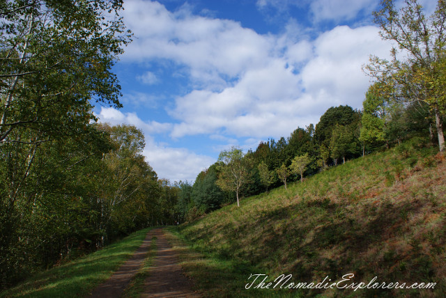 Australia, Victoria, Yarra Valley &amp; Dandenong Ranges, Looking for autumn. R J Hamer Arboretum, , 