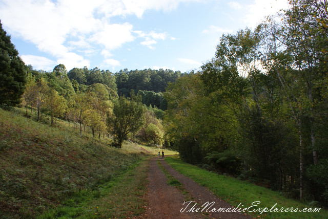 Australia, Victoria, Yarra Valley &amp; Dandenong Ranges, Looking for autumn. R J Hamer Arboretum, , 