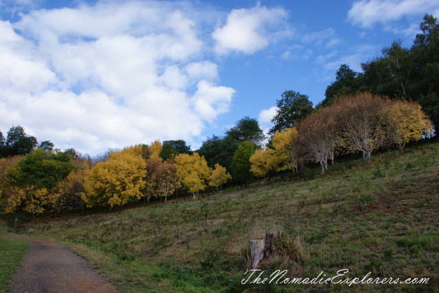 Australia, Victoria, Yarra Valley &amp; Dandenong Ranges, Looking for autumn. R J Hamer Arboretum, , 