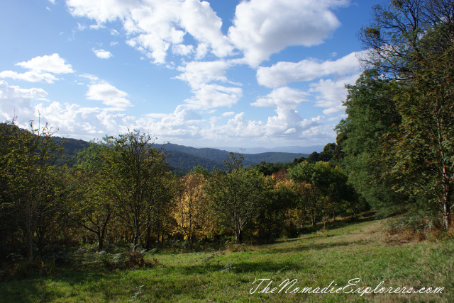 Australia, Victoria, Yarra Valley &amp; Dandenong Ranges, Looking for autumn. R J Hamer Arboretum, , 