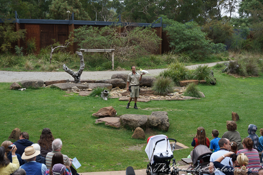 Australia, Victoria, Yarra Valley &amp; Dandenong Ranges, Healesville Sanctuary: Explore a bushland haven for Australian wildlife, , 