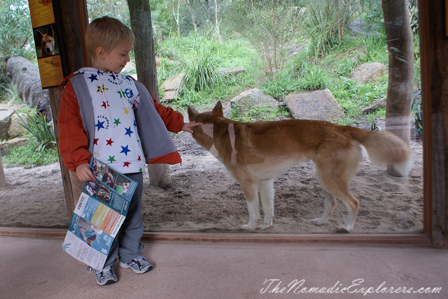 Australia, Victoria, Yarra Valley &amp; Dandenong Ranges, Healesville Sanctuary: Explore a bushland haven for Australian wildlife, , 