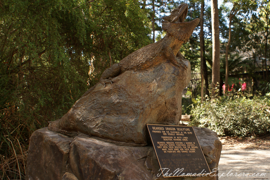 Australia, Victoria, Yarra Valley &amp; Dandenong Ranges, Healesville Sanctuary: Explore a bushland haven for Australian wildlife, , 