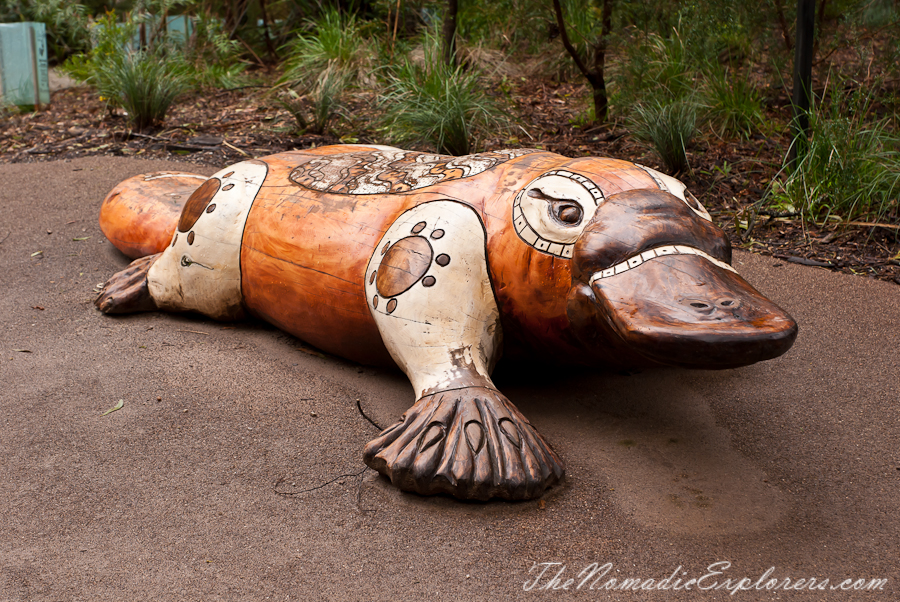 Australia, Victoria, Yarra Valley &amp; Dandenong Ranges, Healesville Sanctuary: Explore a bushland haven for Australian wildlife, , 