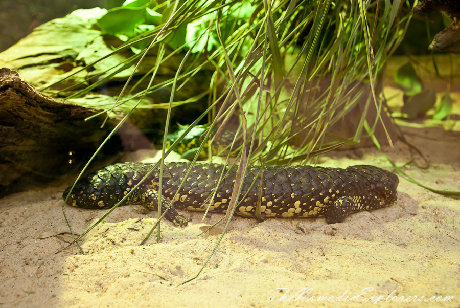 Australia, Victoria, Yarra Valley &amp; Dandenong Ranges, Healesville Sanctuary: Explore a bushland haven for Australian wildlife, , 