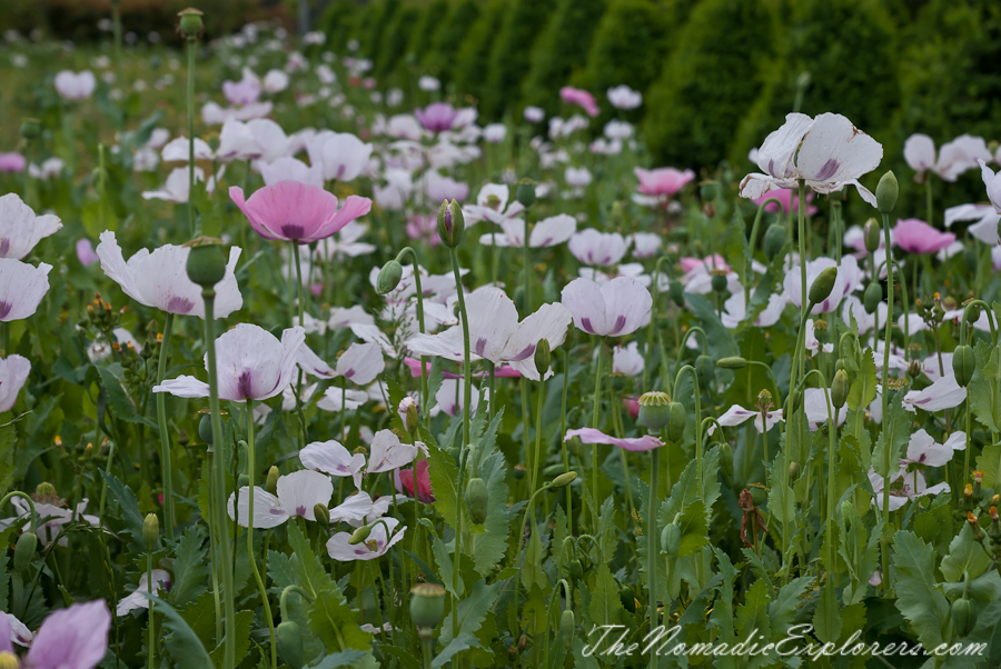 Australia, Victoria, Yarra Valley &amp; Dandenong Ranges, A Family Day in Yarra Valley: Alowyn Gardens, Yarra Valley Chocolate Factory, Maroondah Reservoir Park, , 